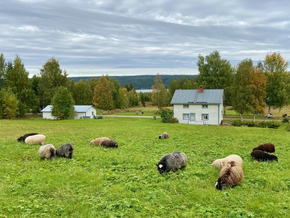 Vildmarksgard Lillviken Strömsund Buitenkant foto