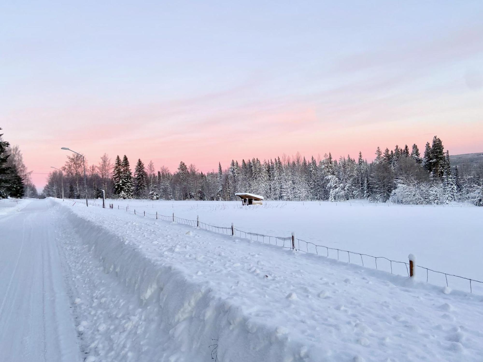 Vildmarksgard Lillviken Strömsund Buitenkant foto